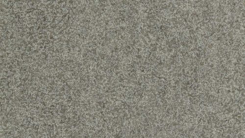 Shagreen 312907